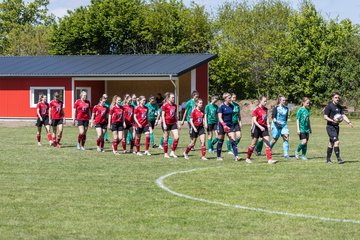 Bild 15 - F SG NieBar - IF Stjernen Flensborg : Ergebnis: 2:0